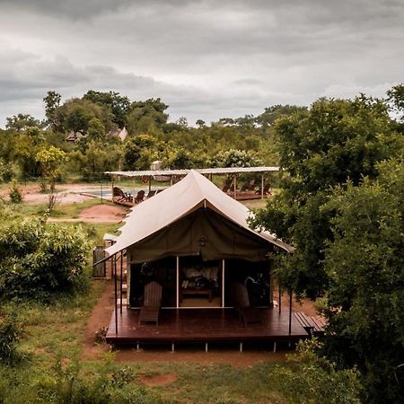 Honeyguide Tented Safari Camp - Khoka Moya Manyeleti viltreservat Exteriör bild