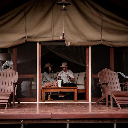 Honeyguide Tented Safari Camp - Khoka Moya Manyeleti viltreservat Exteriör bild
