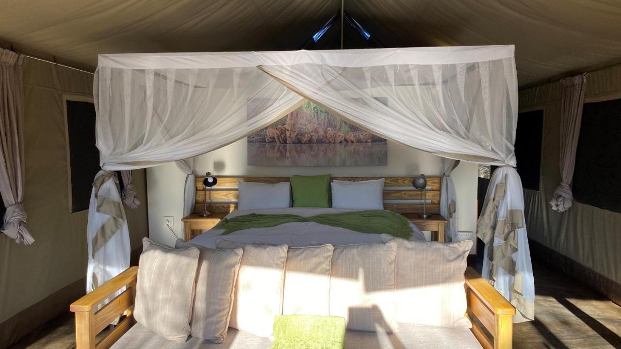 Honeyguide Tented Safari Camp - Khoka Moya Manyeleti viltreservat Exteriör bild