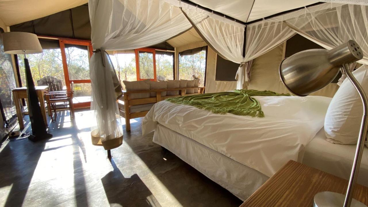 Honeyguide Tented Safari Camp - Khoka Moya Manyeleti viltreservat Exteriör bild