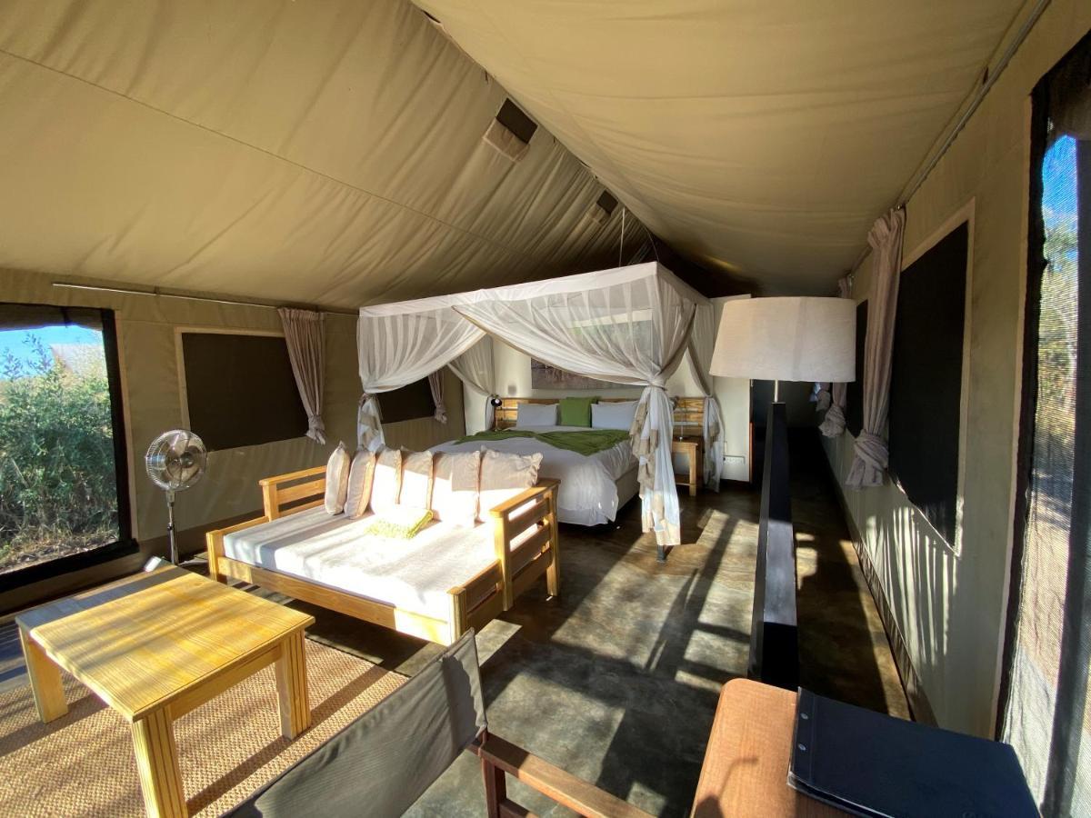 Honeyguide Tented Safari Camp - Khoka Moya Manyeleti viltreservat Exteriör bild