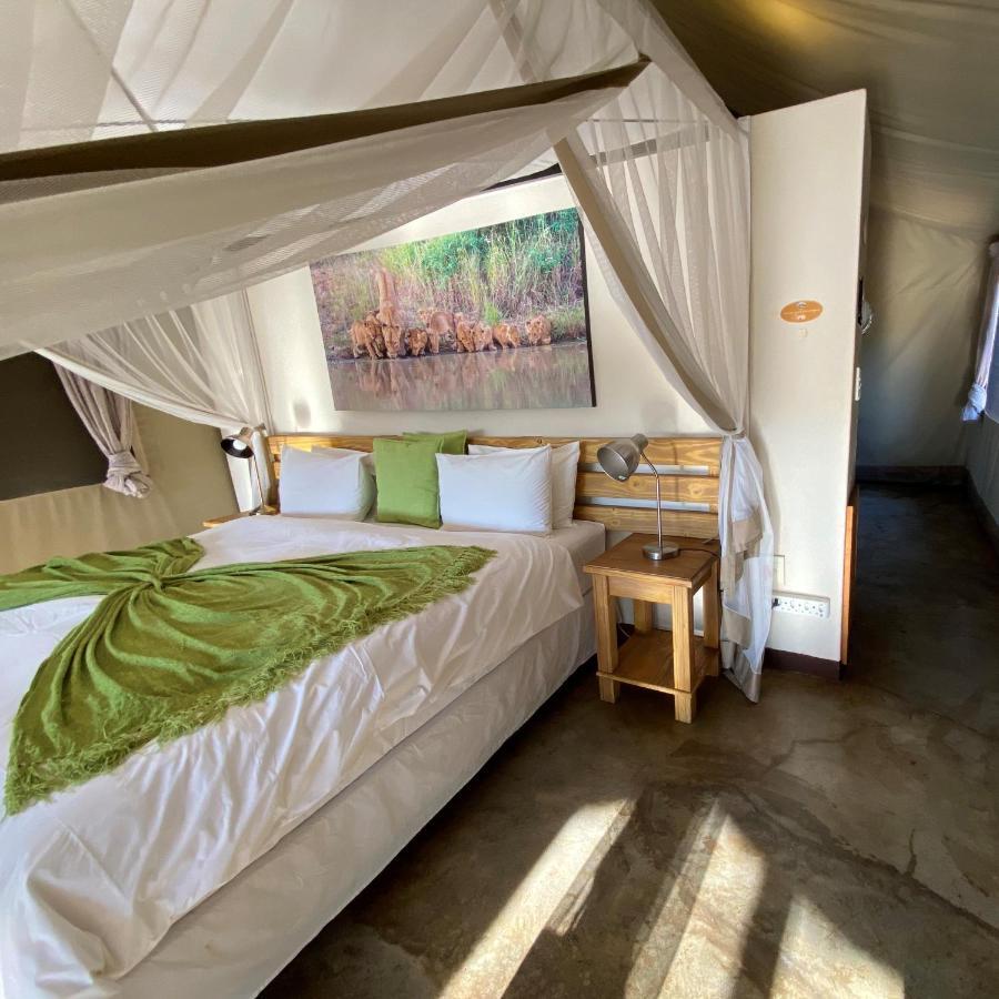 Honeyguide Tented Safari Camp - Khoka Moya Manyeleti viltreservat Exteriör bild