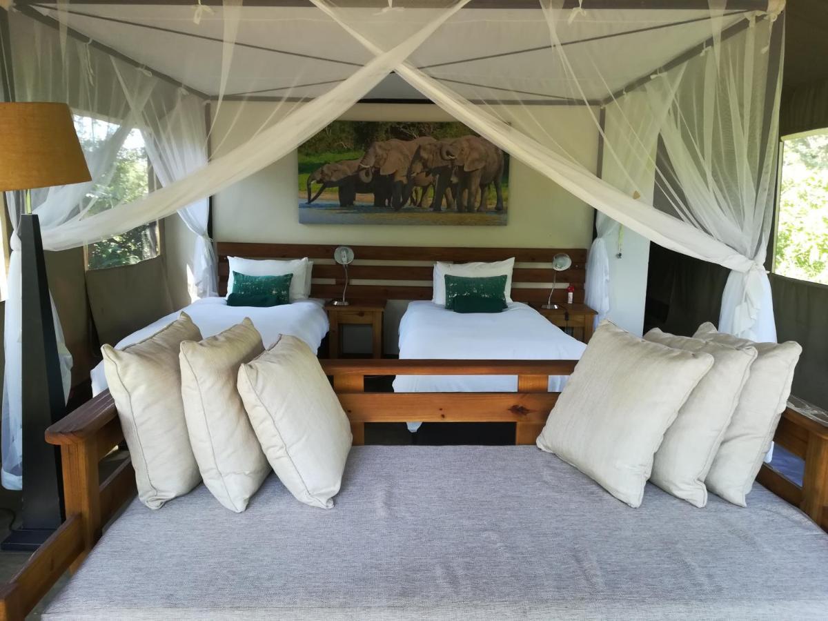 Honeyguide Tented Safari Camp - Khoka Moya Manyeleti viltreservat Exteriör bild