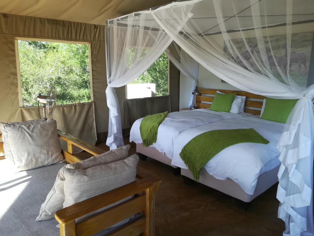 Honeyguide Tented Safari Camp - Khoka Moya Manyeleti viltreservat Exteriör bild
