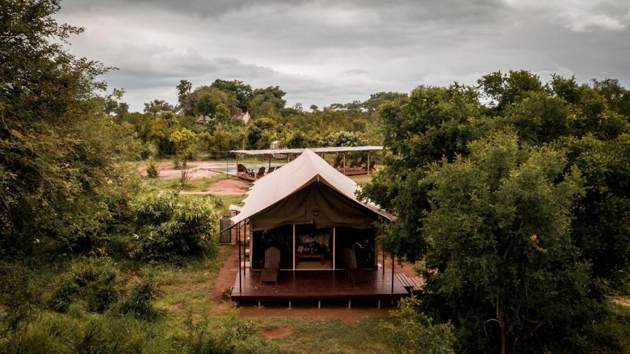 Honeyguide Tented Safari Camp - Khoka Moya Manyeleti viltreservat Exteriör bild