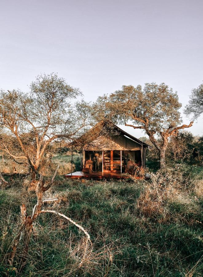 Honeyguide Tented Safari Camp - Khoka Moya Manyeleti viltreservat Exteriör bild