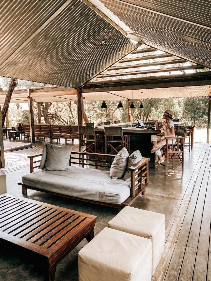 Honeyguide Tented Safari Camp - Khoka Moya Manyeleti viltreservat Exteriör bild
