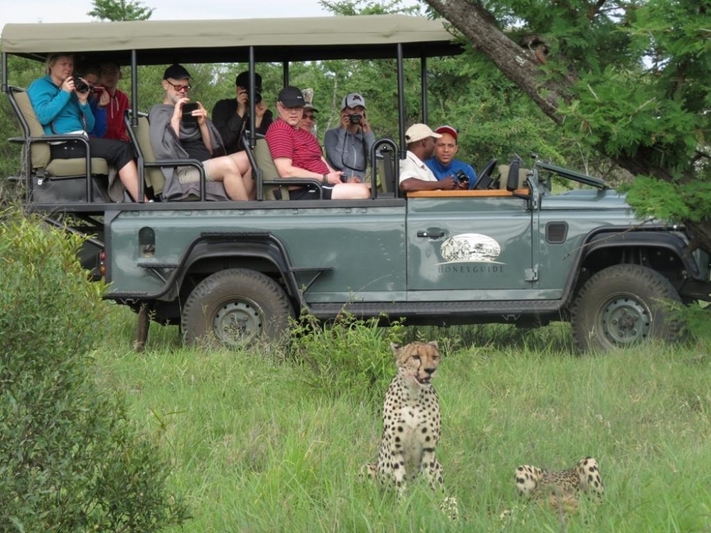 Honeyguide Tented Safari Camp - Khoka Moya Manyeleti viltreservat Exteriör bild