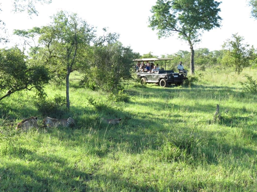 Honeyguide Tented Safari Camp - Khoka Moya Manyeleti viltreservat Exteriör bild