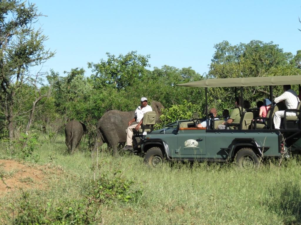 Honeyguide Tented Safari Camp - Khoka Moya Manyeleti viltreservat Exteriör bild