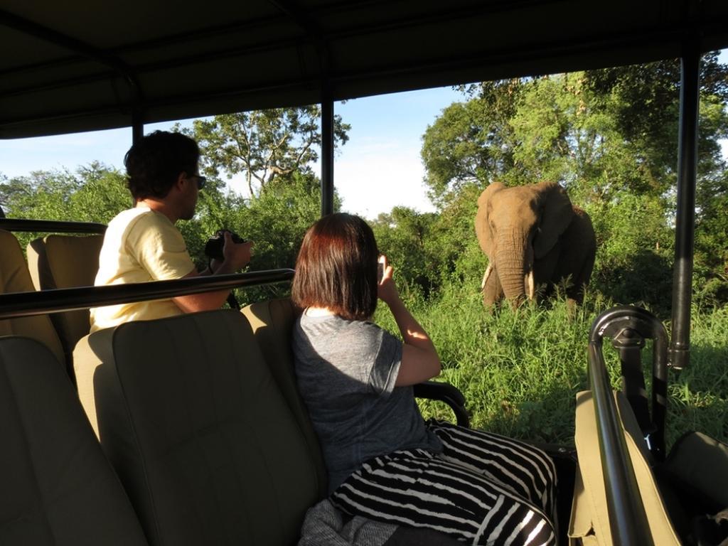 Honeyguide Tented Safari Camp - Khoka Moya Manyeleti viltreservat Exteriör bild